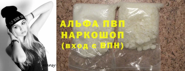 прущие грибы Михайлов