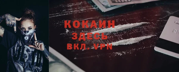 прущие грибы Михайлов