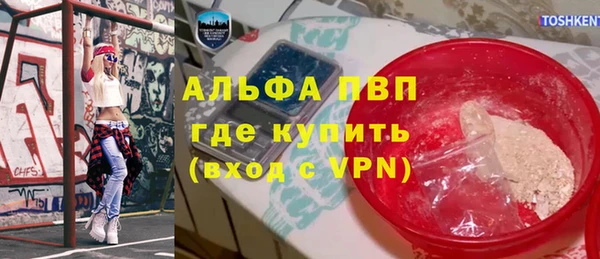 стаф Медвежьегорск