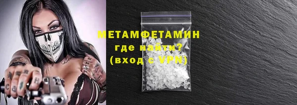 прущие грибы Михайлов