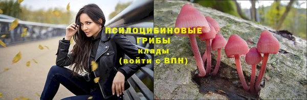СК Медногорск