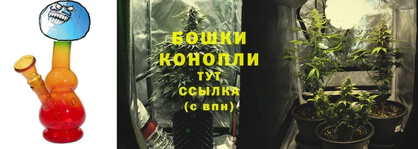 стаф Медвежьегорск