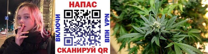 Конопля White Widow  цены наркотик  Новая Ляля 